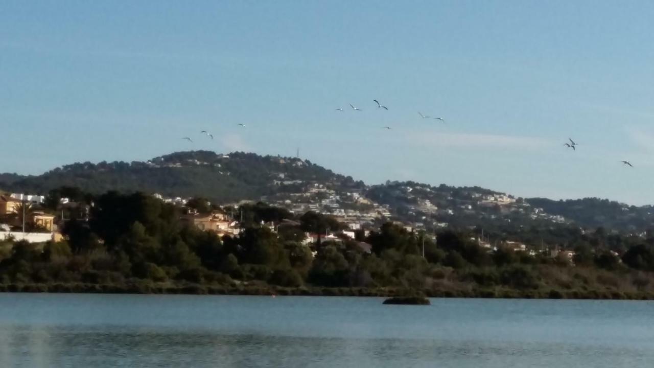 Apart. En Calpe A 150M. De La Playa المظهر الخارجي الصورة